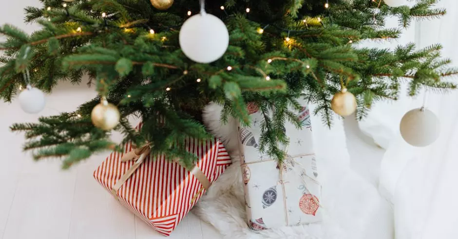 Živo božićno drvce - prednosti, nedostaci i njega