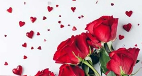 Pink panda Pinkpanda.hr kod za popust na festival poklona