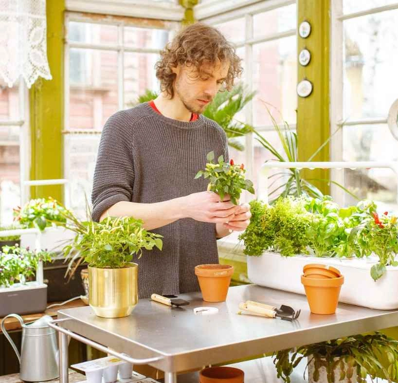 čovjek uzgaja svježu i zdravu hranu u svom stanu