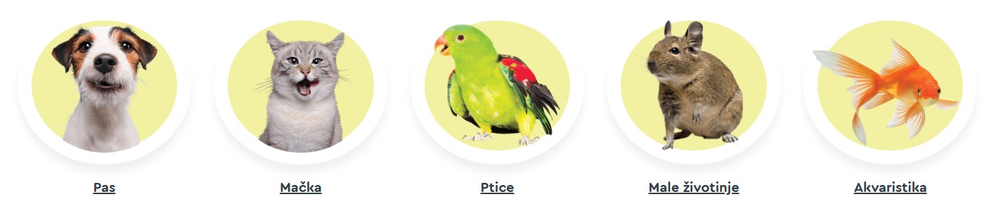 Slike psa, mačke, ptice, male životinje i ribice