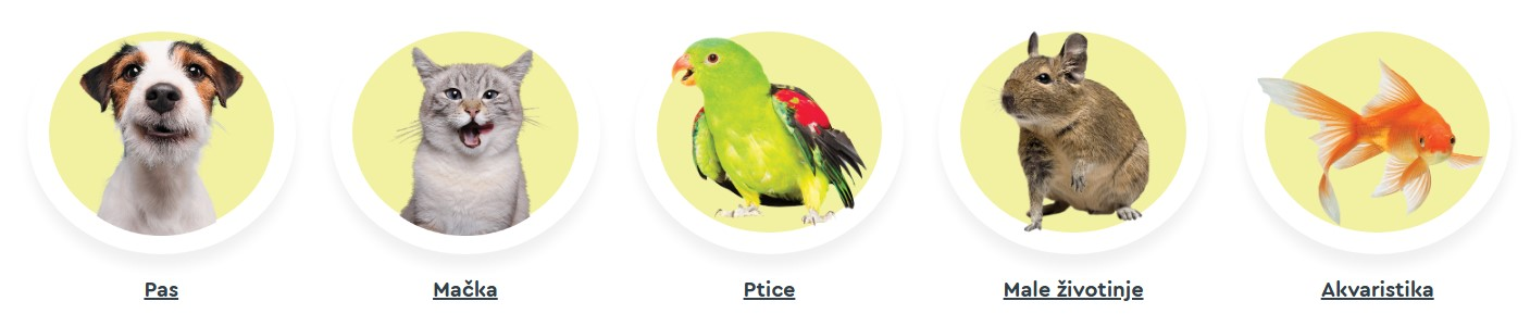 Zoocity - životinje