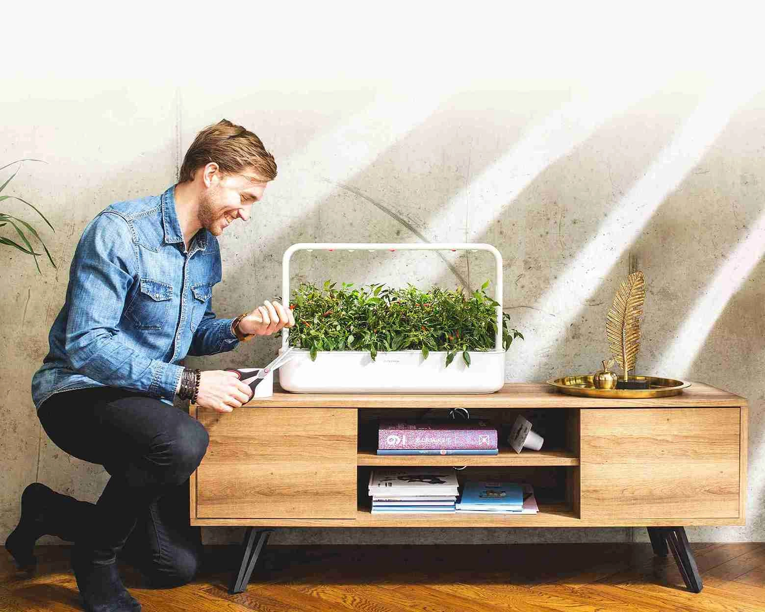 uzgoj pametnog vrta u dnevnom boravku