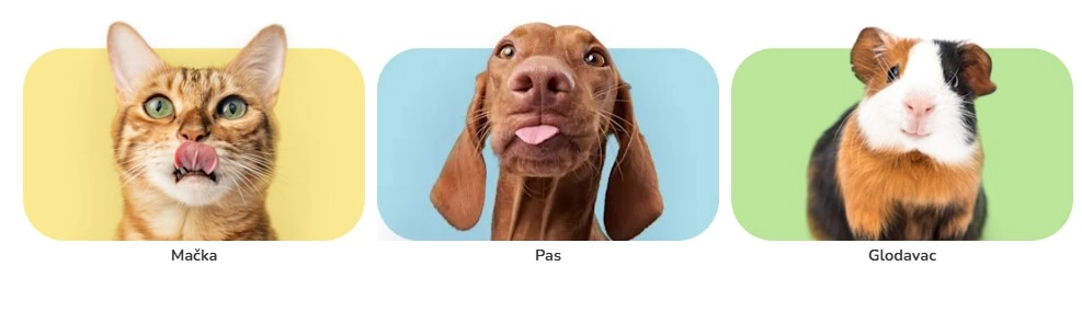 Mačka, pas i glodavac